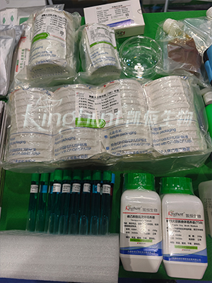 1763372417511650.jpg 廣州9.jpg